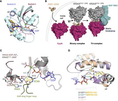Structural perspectives on recent breakthrough efforts toward direct drugging of RAS and acquired resistance